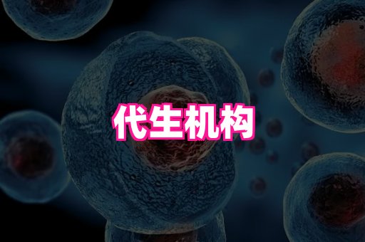 Nomand：捐卵代生机构：供卵代怀宝宝